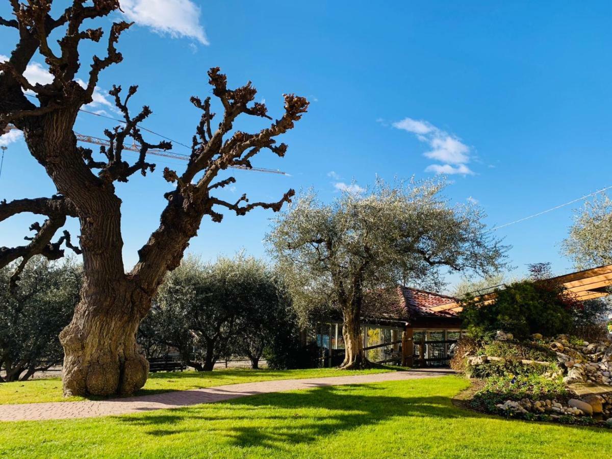 Agriturismo Le Tese Colà Exteriör bild